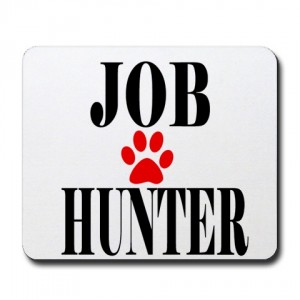 Job Hunting Advice